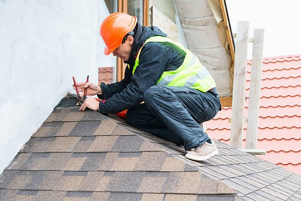 Best Roof Leak Repair  in Magnolia, NC