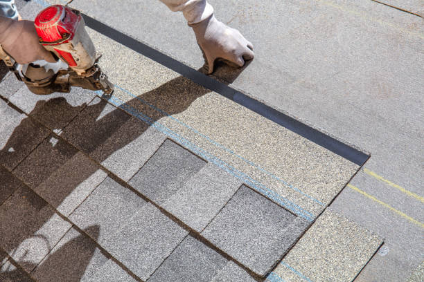 Professional Roofing Contractor in Magnolia, NC